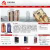 企業(yè)信息技術(shù)解決方案 從網(wǎng)站建設(shè)到軟件開發(fā)的一站式服務(wù)
